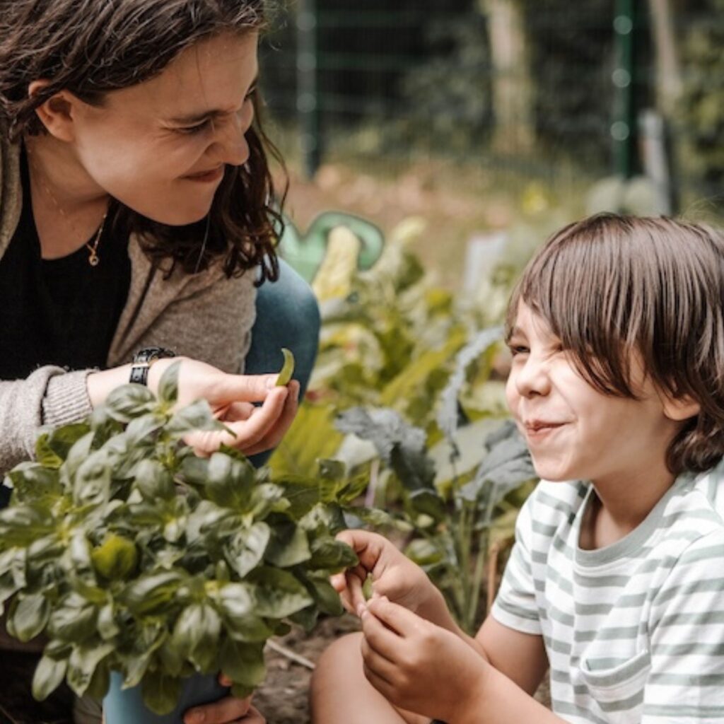 Kind und Erzieherin ernten gemeinsam frisches Gemüse im Kindergarten-Garten.