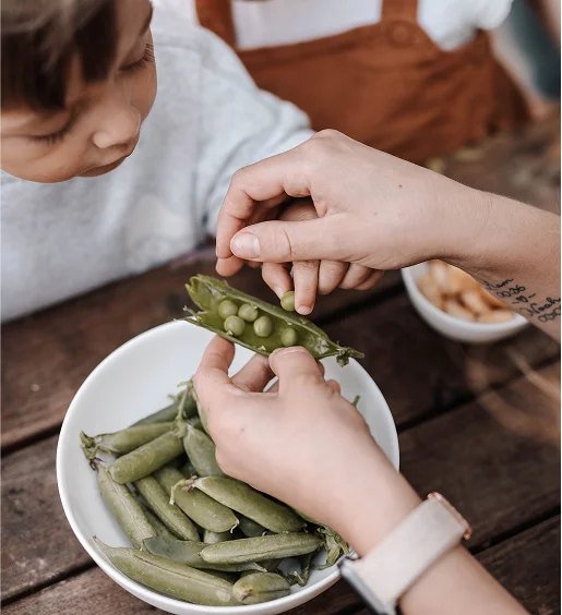 Kind lernt beim gemeinsamen Erbsen-Pulen mit einem Erwachsenen